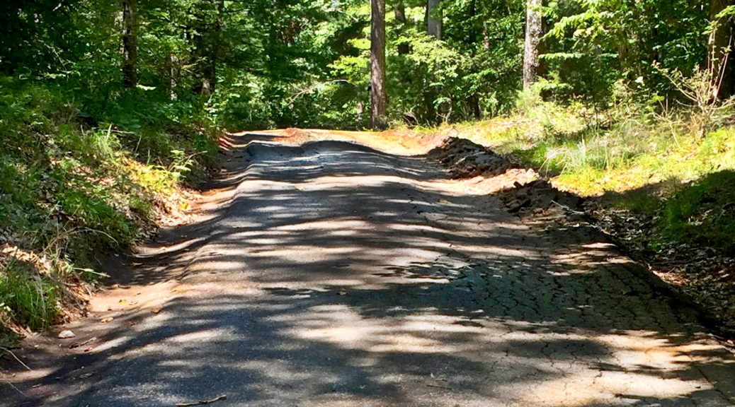 Driveway Hill Before Construction Begins